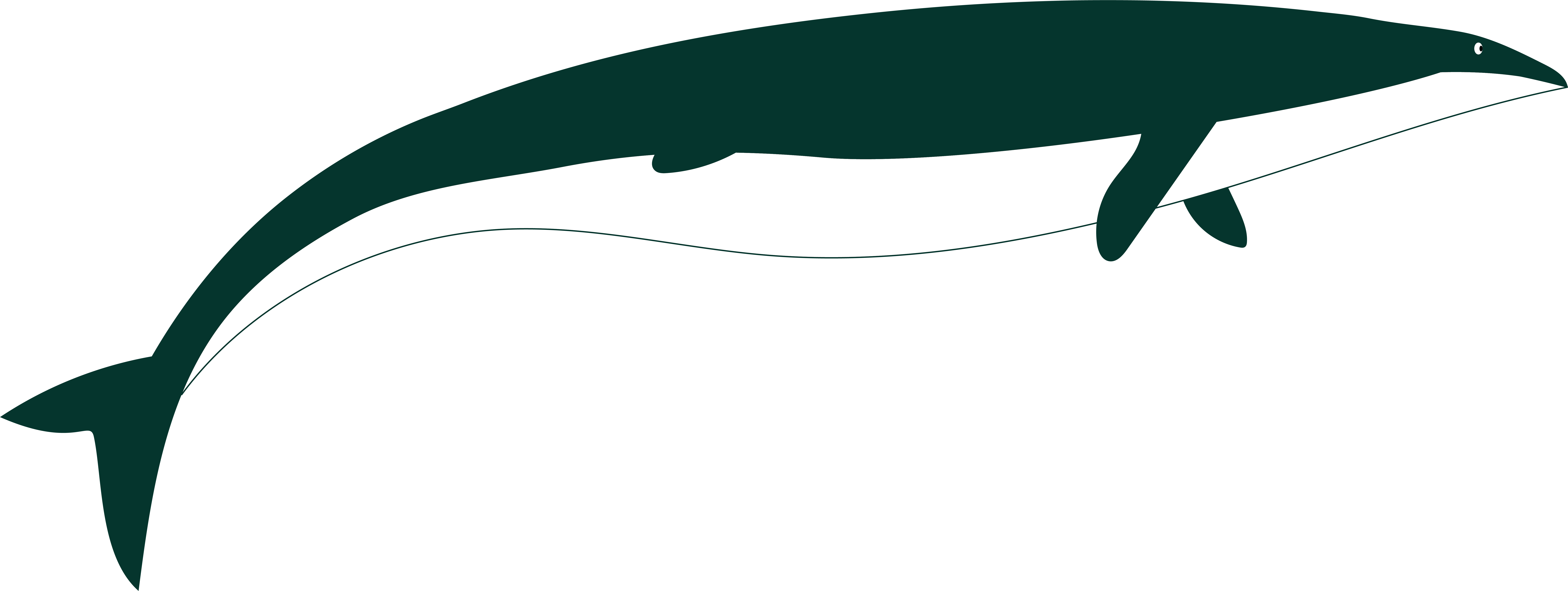 A prehistoric whale