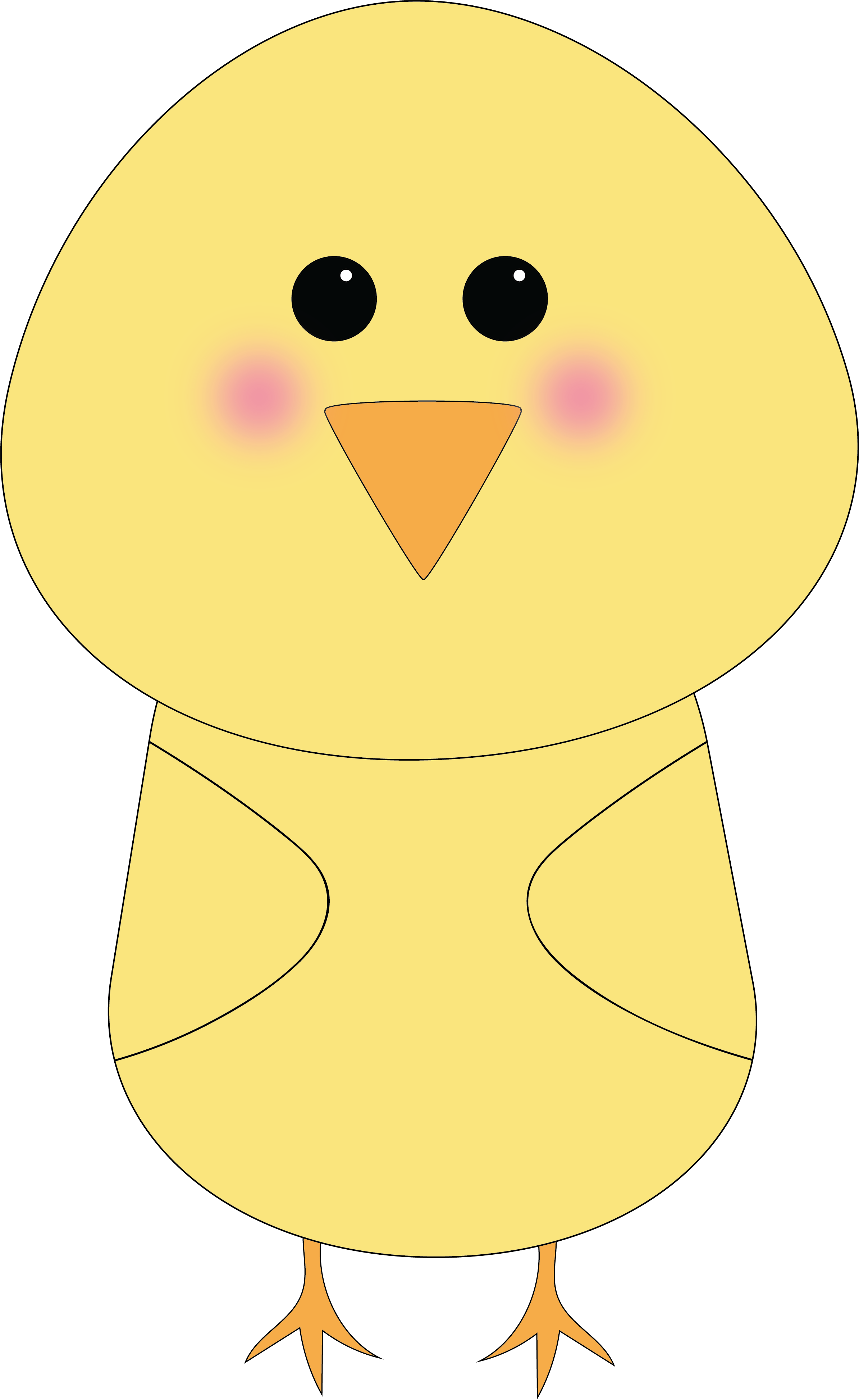 A cute bird